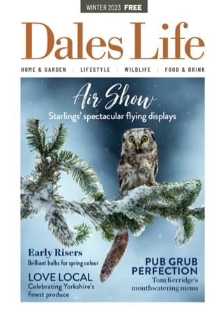 Dales Life Winter 2022 issue magazine cover – Winter Welcome